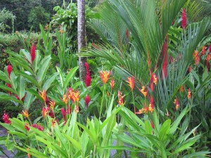 Tropical landscape at Tabacon Resort -Arenal, Costa Rica 