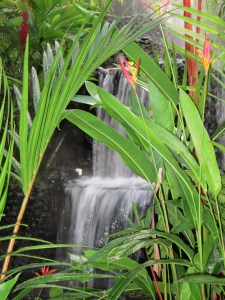 Waterfall near Arenal, Costa Rica. 